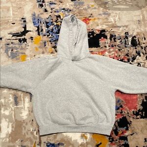 Aritzia Gray Cozy Fleece Mega Raglan Hoodie